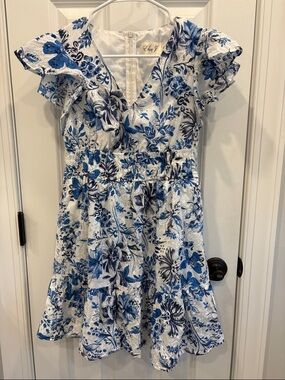 Eliza J Blue White Eyelet Dress 4P